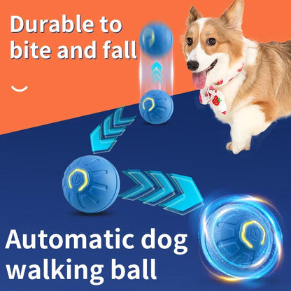 Smart Automatic Dog Toy