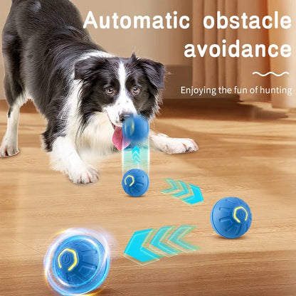 Smart Automatic Dog Toy