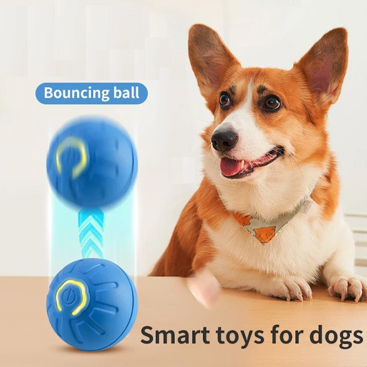 Smart Automatic Dog Toy