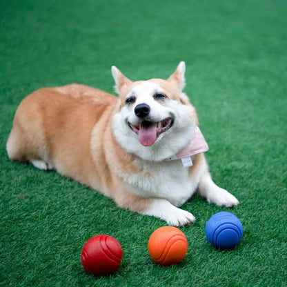 Ultra Durable Chew Toy